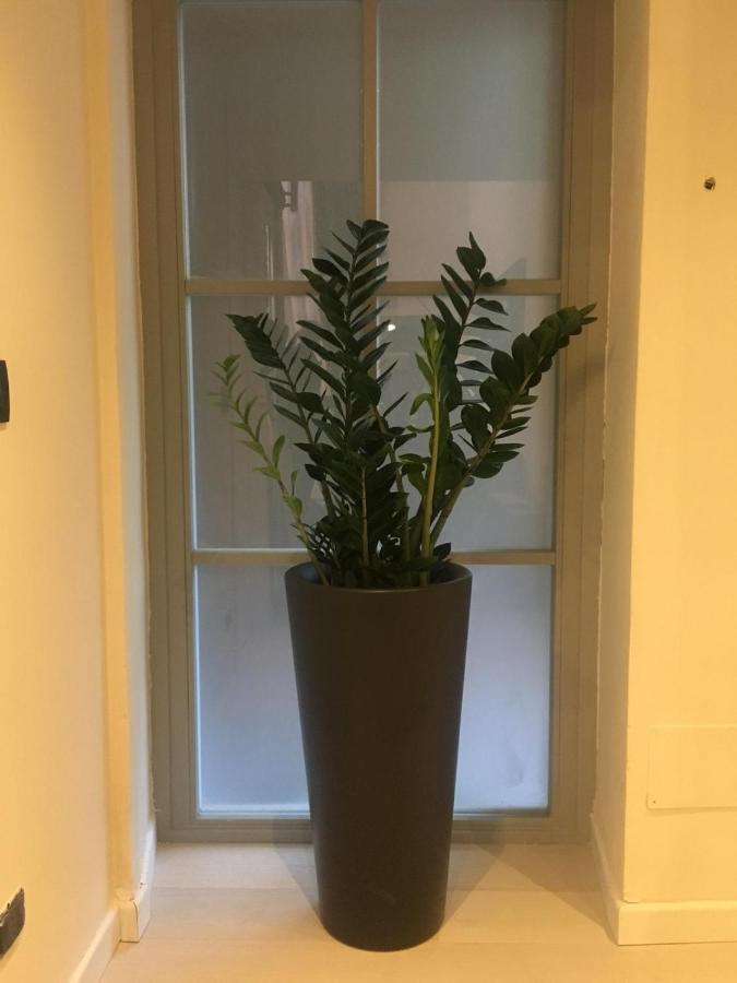 Nocleg ze śniadaniem Luxory Loft *